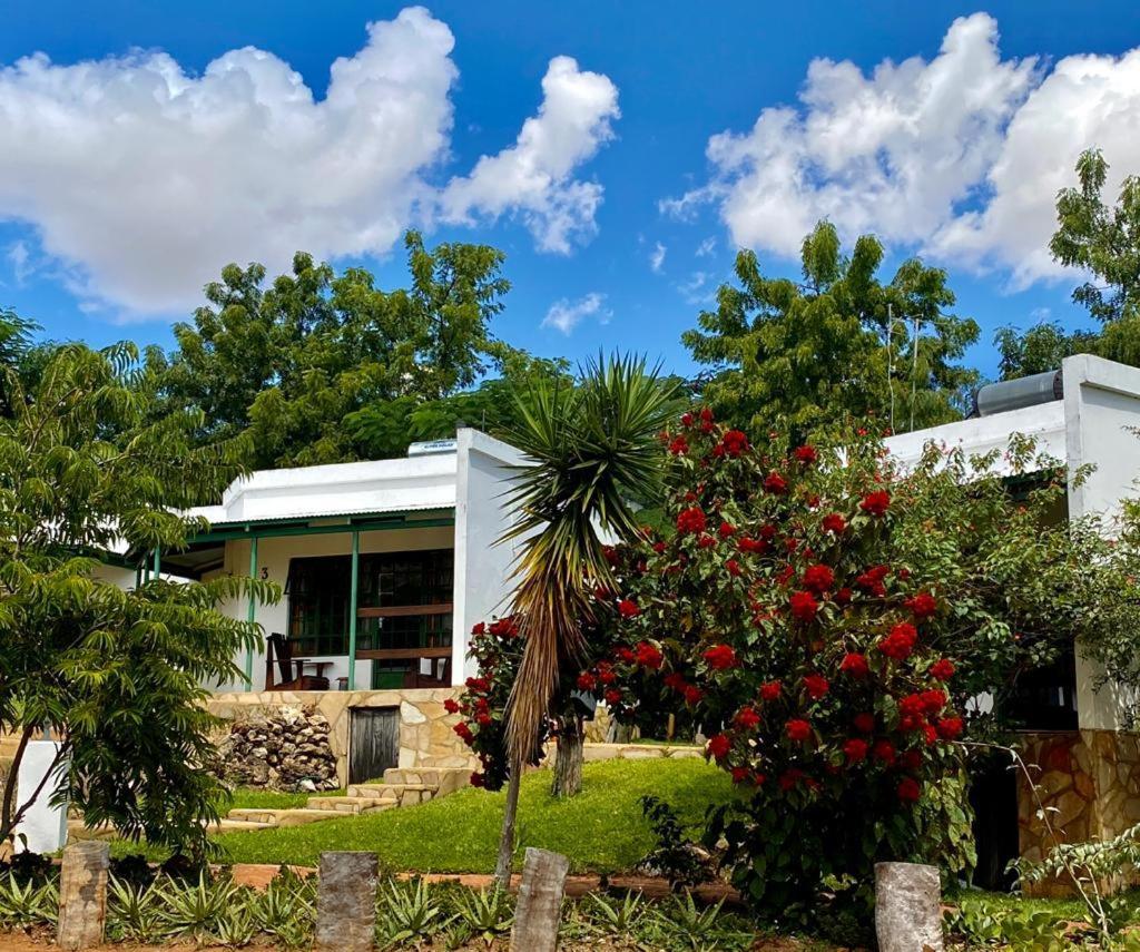 Tambuti Lodge Rundu Eksteriør billede