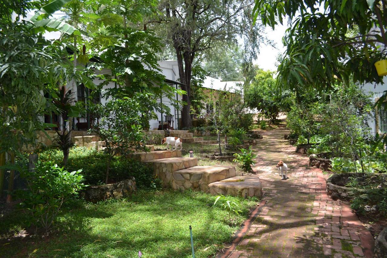 Tambuti Lodge Rundu Eksteriør billede