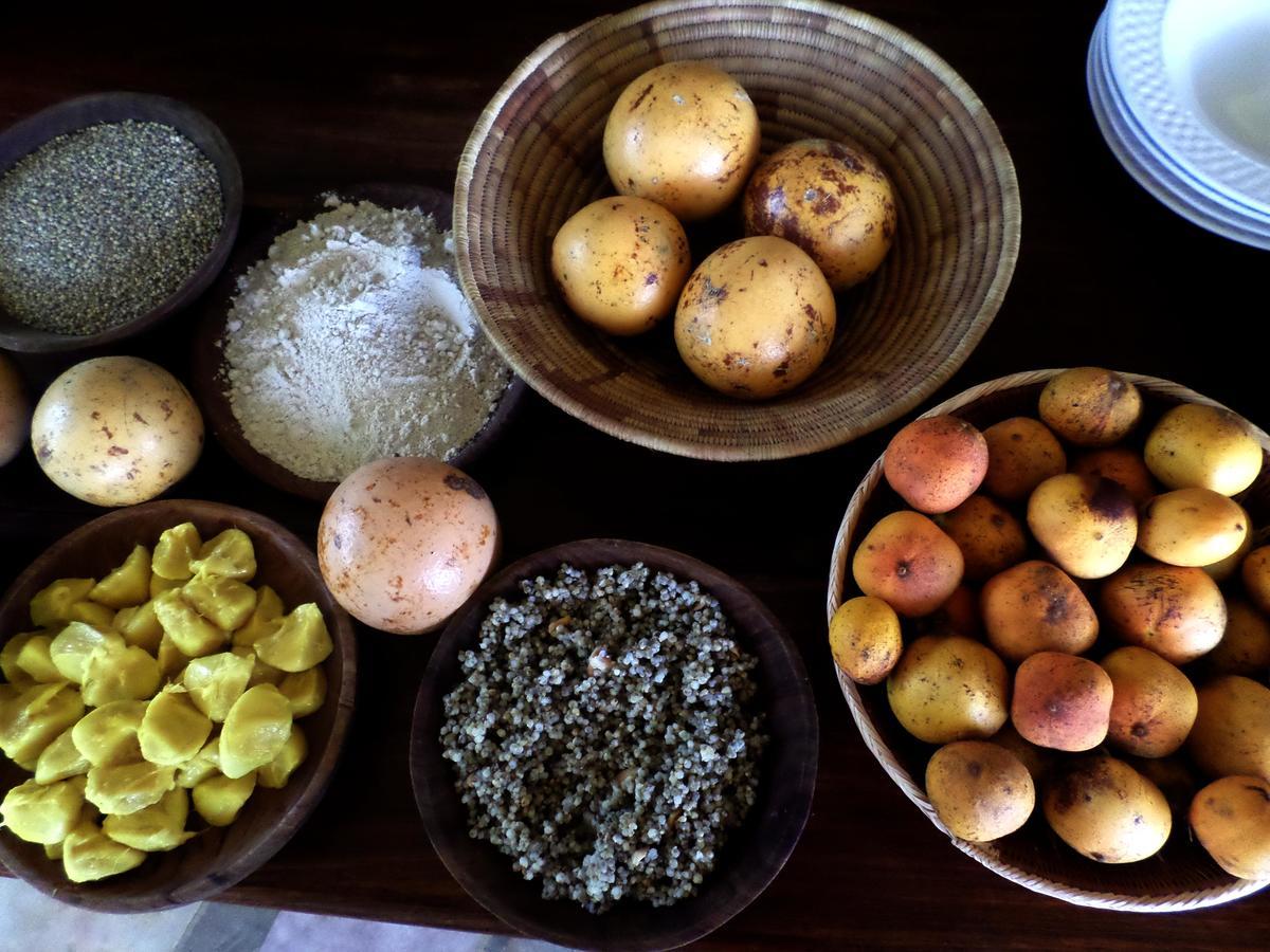 Tambuti Lodge Rundu Eksteriør billede